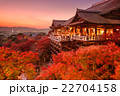 Kiyomizu Temple of Kyoto, Japan 22704158