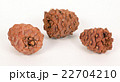 Pine cones on a white background 22704210