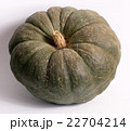 Green pumpkin for Halloween 22704214