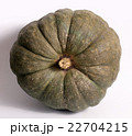 Green pumpkin for Halloween 22704215