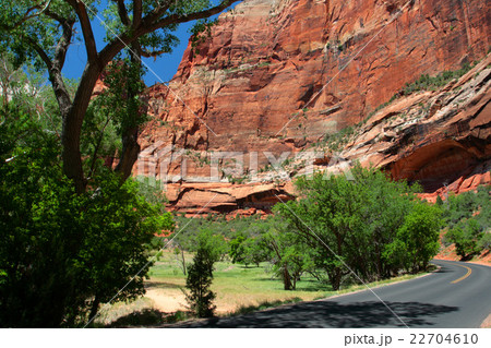 Zion National Park, USA.. 22704610