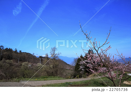 桃源郷の春 桃源郷の春 22705736