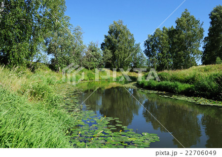 Small river in summer 22706049