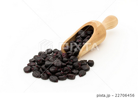 紫トウモロコシ:Purple corn 22706456