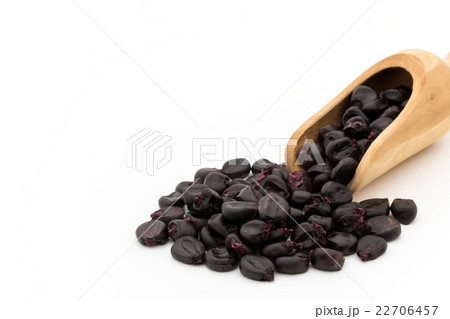パープルコーン:Purple corn 22706457