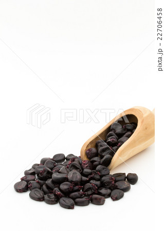 紫トウモロコシ:Purple corn 22706458