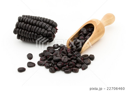 パープルコーン:Purple corn パープルコーン:Purple corn 22706460