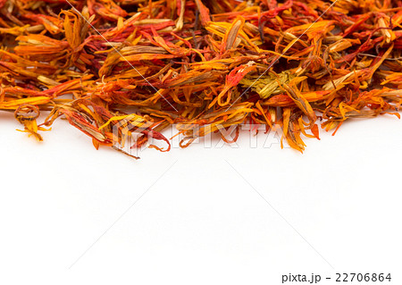 紅花:safflower 22706864