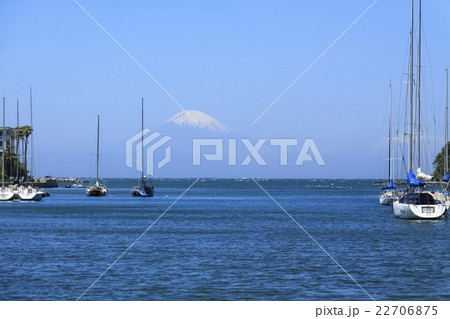 春の諸磯 22706875