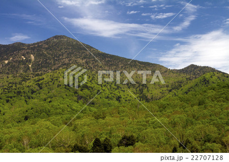 初夏の岩菅山 初夏の岩菅山 22707128