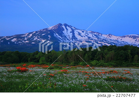 鳥海山 桑の木台湿原 鳥海山 桑の木台湿原 22707477
