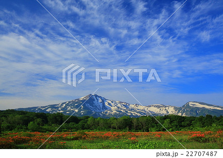 鳥海山 桑の木台湿原 鳥海山 桑の木台湿原 22707487