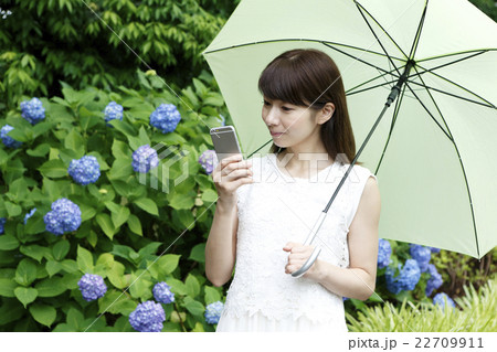 梅雨イメージ 梅雨イメージ 22709911
