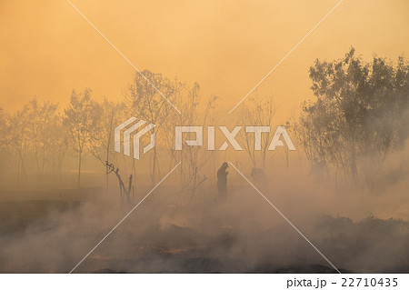 Smoke field and fireman after wildfire. 22710435