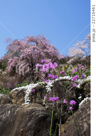 龍珠院境内 22710461