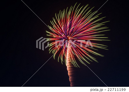 ２０１６年逗子海岸花火大会 22711199