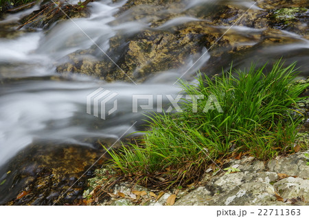 祖母山から流れ出した滝、住職がこの水を飲んで非常に長生きした事から長寿の滝とも呼ばれる常光寺の滝 祖母山から流れ出した滝、住職がこの水を飲んで非常に長生きした事から長寿の滝とも呼ばれる常光寺の滝 22711363