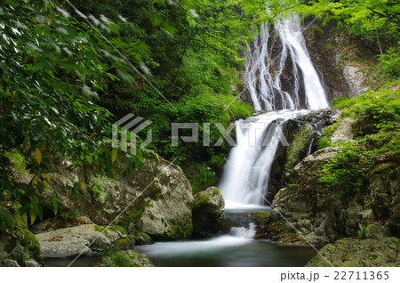 祖母山から流れ出した滝、住職がこの水を飲んで非常に長生きした事から長寿の滝とも呼ばれる常光寺の滝 祖母山から流れ出した滝、住職がこの水を飲んで非常に長生きした事から長寿の滝とも呼ばれる常光寺の滝 22711365