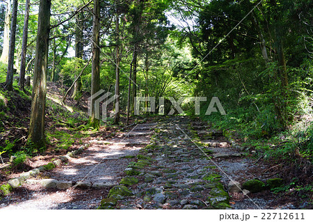 旧街道石畳 旧街道石畳 22712611