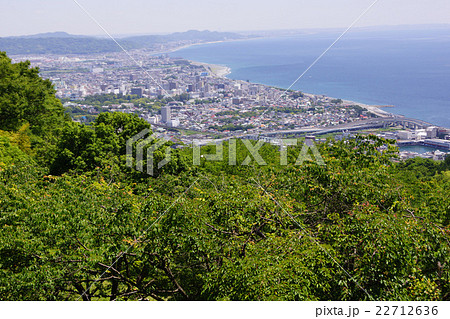 石垣山一夜城歴史公園から望む小田原市街 22712636