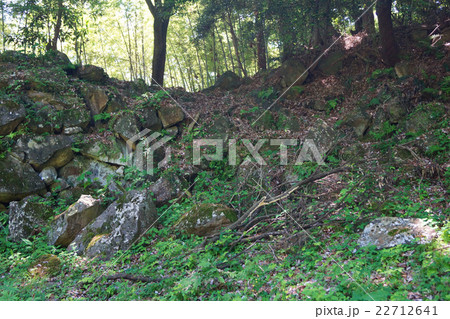 石垣山一夜城歴史公園 22712641