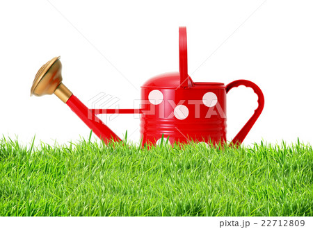 red polka dot watering can on green grass isolated 22712809