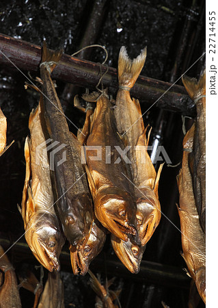 鮭とば 鮭とば 22714455