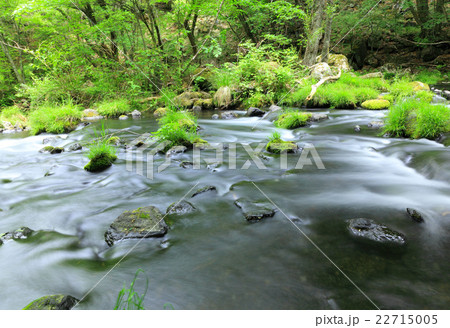 滝の湯川　渓流 22715005