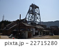 万田抗 22715280