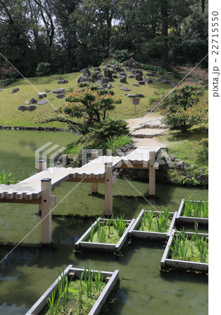 栗林公園、小普陀と津筏梁 栗林公園、小普陀と津筏梁 22715550