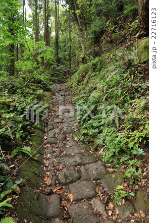 鋸山の車力道 鋸山の車力道 22716123