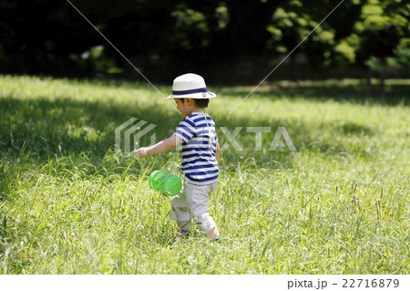 夏休み昆虫採集 22716879