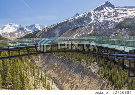 カナダ　スカイウォークが見える風景 22716884