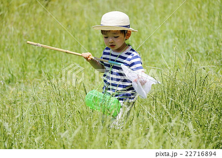 夏休み昆虫採集 夏休み昆虫採集 22716894