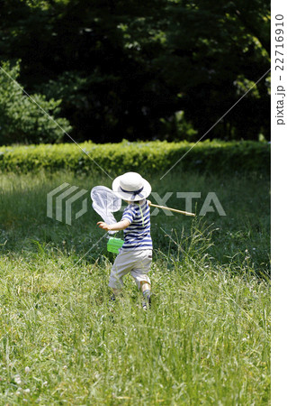 夏休み昆虫採集 22716910