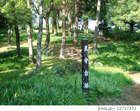 石垣山一夜城歴史公園 22717272