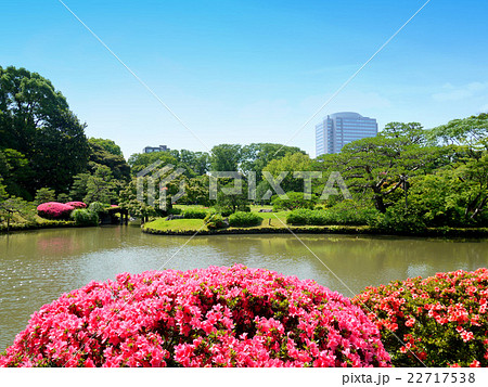 初夏の六義園 サツキ 6月 東京都文京区の写真素材