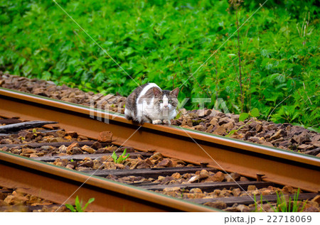 秋田内陸線の沿線風景 22718069