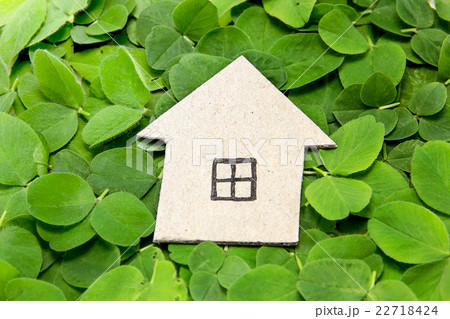 Cardboard house on the clover leaves 22718424