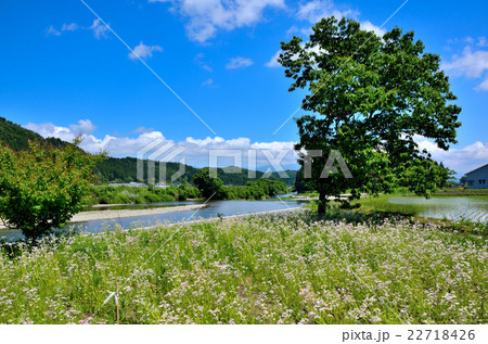 秋田内陸線の沿線風景 秋田内陸線の沿線風景 22718426