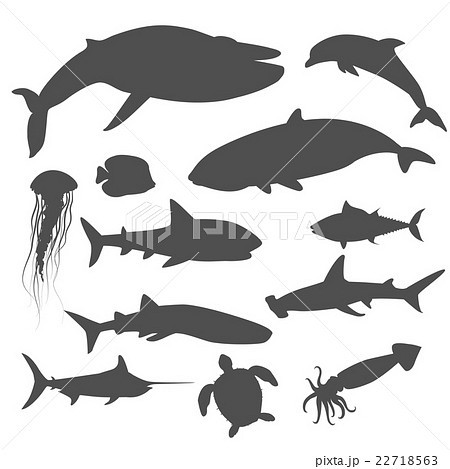 Marine Fauna Set of Aquatic Animals Marine Fauna Set of Aquatic Animals 22718563