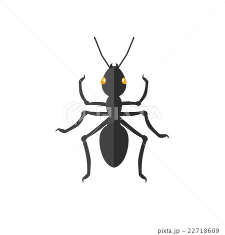 Ant Icon Vector 22718609