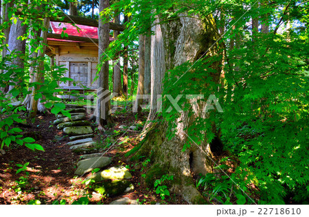 秋田内陸線の沿線風景 22718610