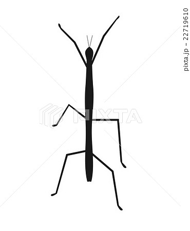 Stick Insect or Phasmids Icon 22719610
