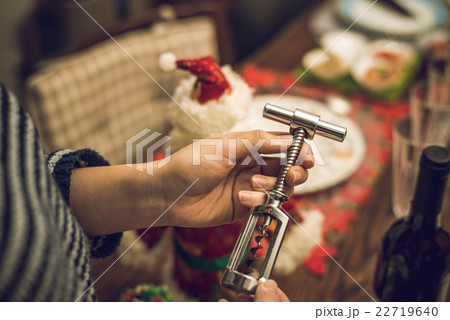 ホームパーティー. 22719640