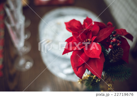 ホームパーティー. 22719676