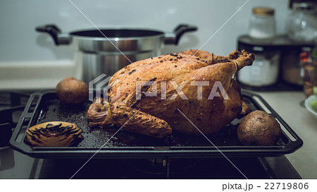 まるごと　丸鶏 22719806