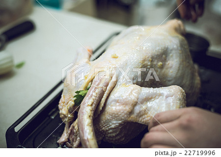 まるごと 丸鶏 まるごと 丸鶏 22719996