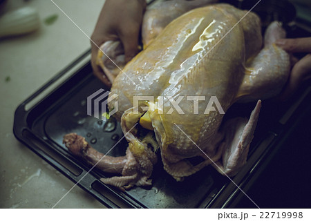 まるごと 丸鶏 まるごと 丸鶏 22719998