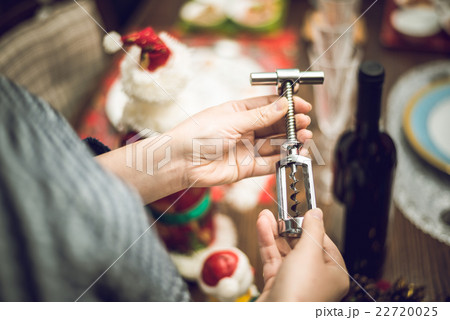 ホームパーティー. 22720025